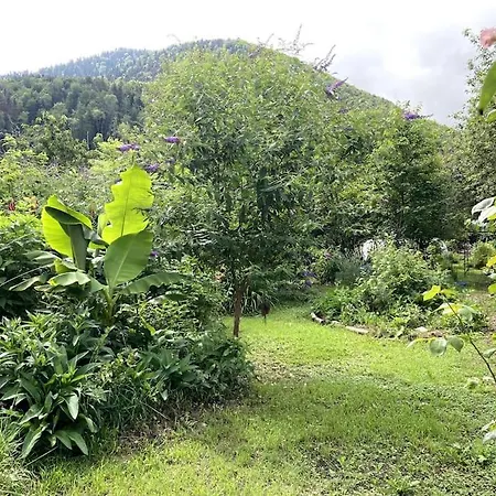 Double Cosy - De La Louve 3* Fougax-et-Barrineuf